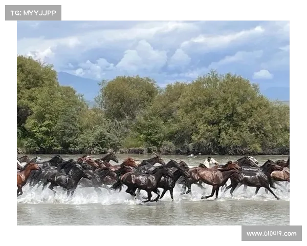 七步掌握汗血宝马驾驭技巧,带你领略驰骋沙场的非凡体验 七步掌握汗血宝马驾驭技巧,带你领略驰骋沙场的非凡体验